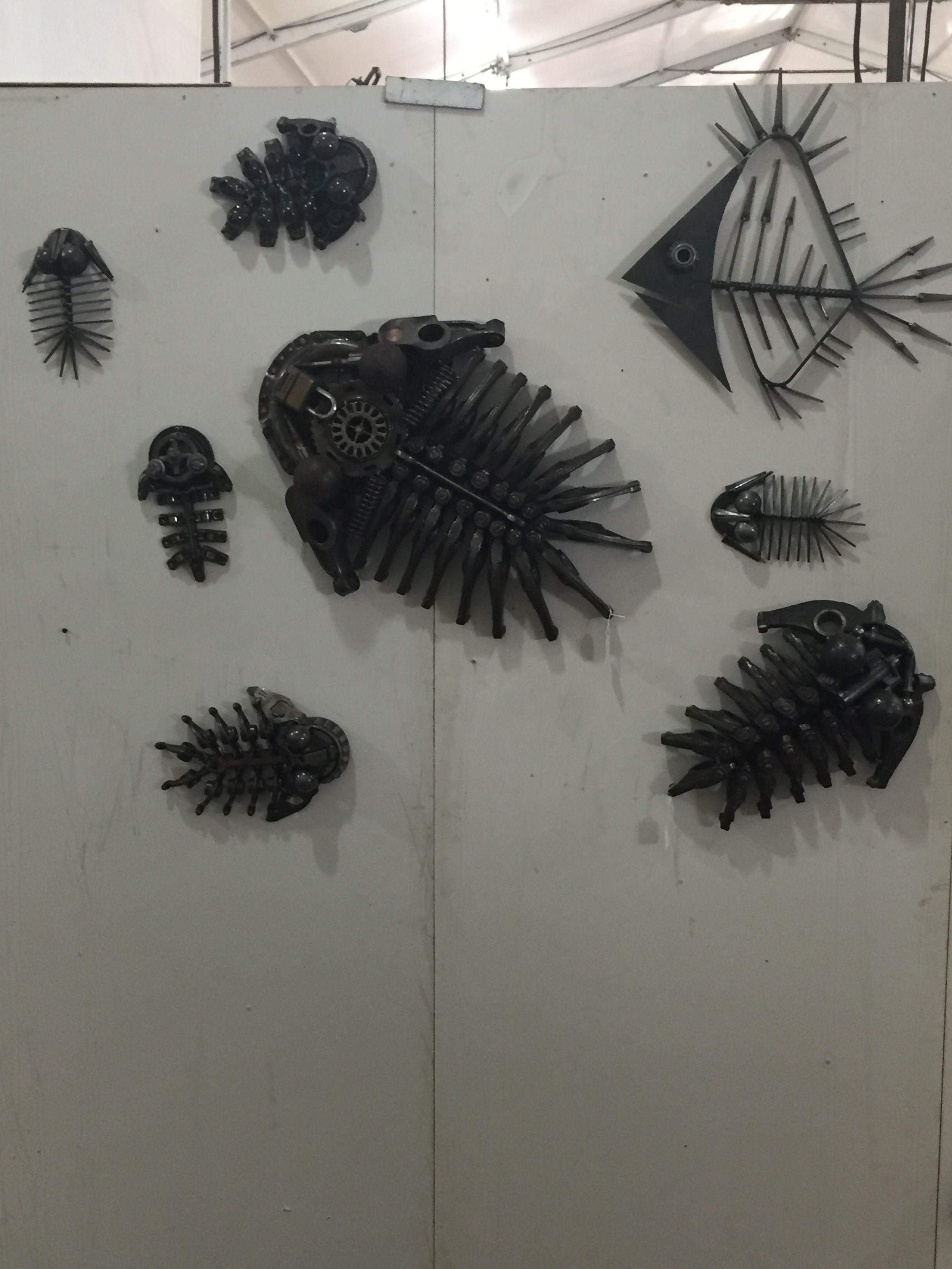Black steel trilobites and fish of several sizes hung on a white wall, with a large fish skeleton at the top right.